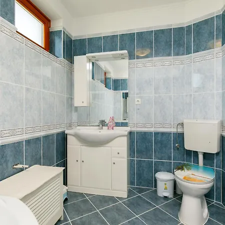Holiday Elisabeta Holiday home *